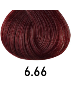 Singulariteetti - 6,66 100 ml