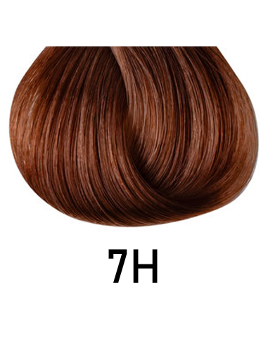 Singulariteetti - 7H 100ml