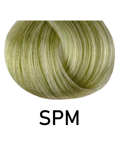 Singulariteetti - SPM 100ml