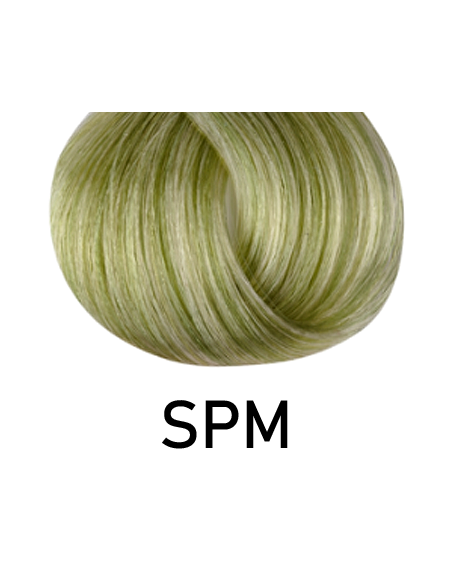 Singulariteetti - SPM 100ml