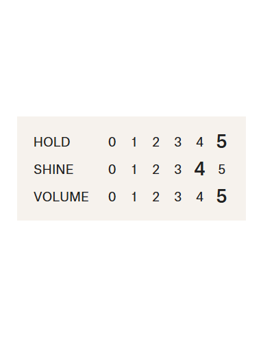 VIITE - nro 545 Hold & Shine - vahva...