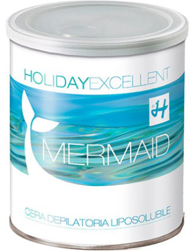 HOLIDAY EXCELLENT MERNEIINTO...