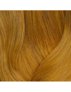 SOCOLOR esisidottu 10G...