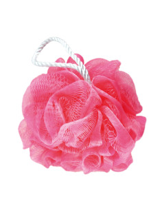 Hierontakylpysieni, eri...