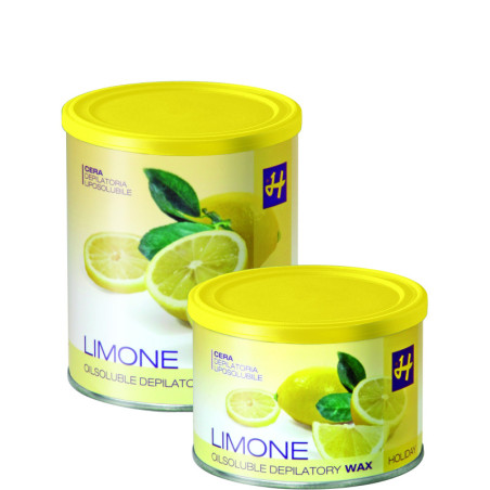 HOLIDAY GEL Karvanpoistogeeli (sitruuna) 400ml