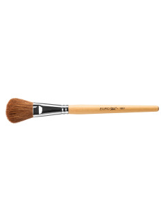 Powder brush and blush,...