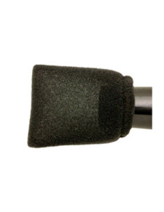 Hajottimen sieni Eponge,...