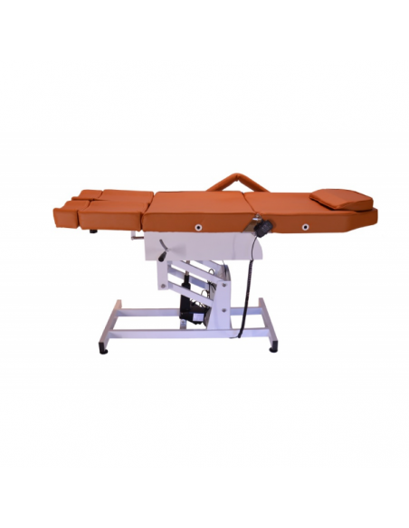 Pedikyyrisohva kahdella moottorilla Palm II