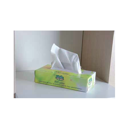 Kosmeettiset pyyhkeet, paperia, 2-kerroksisia, valkoisia, 100 kpl.
