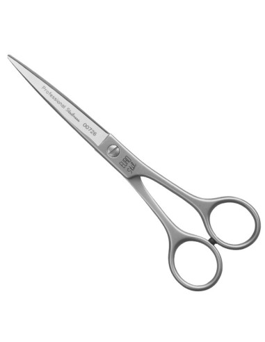 Kampaajan sakset PROFESSIONAL INOX 6.0"
