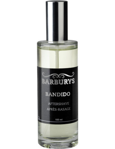 BARBURYS Partavesisuihke 100ml