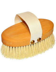 Hierontaharja, pyökki,...