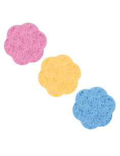 Sieni, selluloosa, kukka,...