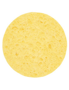 Sieni, selluloosa, pyöreä,...