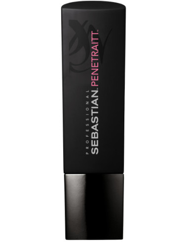 Sebastian Professional Penetraitt...