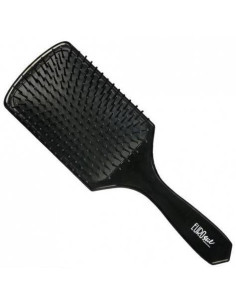 Hairbrush with cushion,...