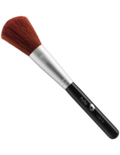 Powder brush and blush,...