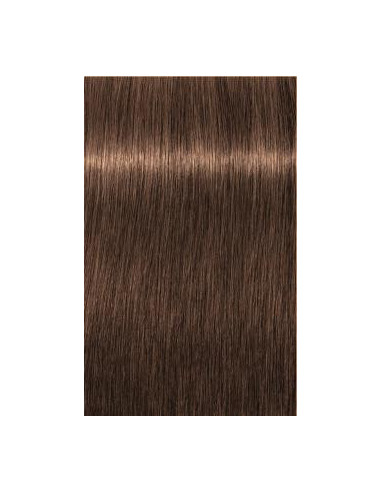 Schwarzkopf Igora Royal 6-60 Absoluutit