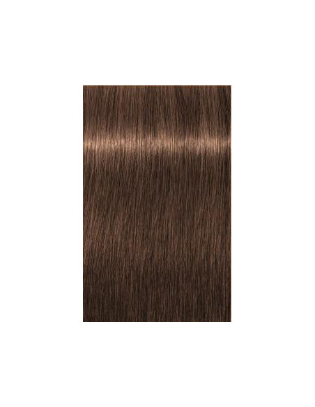Schwarzkopf Igora Royal 6-60 Absoluutit