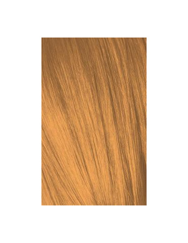 Schwarzkopf Igora Royal 0-55 muotivalot