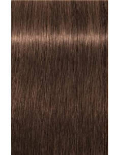 IGORA Royal 6-6 hair color...