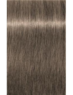 IGORA ROYAL 8-1 gaiši...