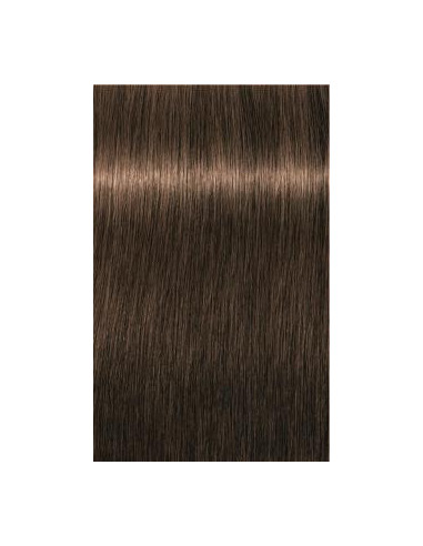 Schwarzkopf Igora Royal 5-50 Absoluutit