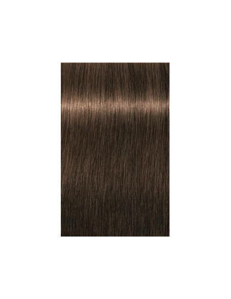 Schwarzkopf Igora Royal 5-50 Absoluutit