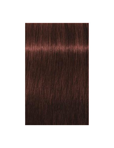 Schwarzkopf Igora Royal 5-80 Absoluuts