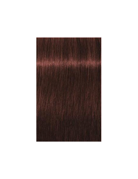 Schwarzkopf Igora Royal 5-80 Absoluuts