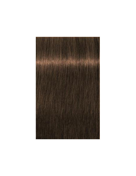 Schwarzkopf Igora Royal 6-50 Absoluutteja