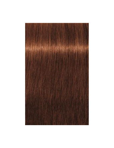Schwarzkopf Igora Royal 6-70 Absoluutit