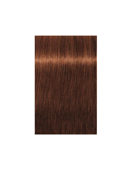 Schwarzkopf Igora Royal 6-70 Absoluutit