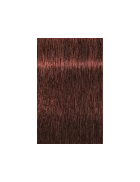 Schwarzkopf Igora Royal 6-80 Absoluuts