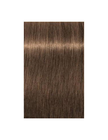 Schwarzkopf Igora Royal 7-50 Absoluuts