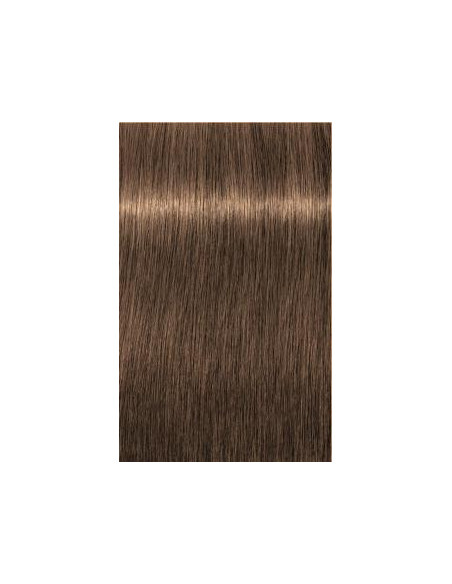 Schwarzkopf Igora Royal 7-50 Absoluuts