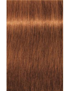 Schwarzkopf Igora Royal...