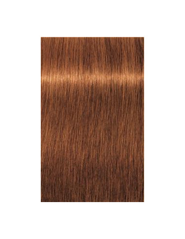 Schwarzkopf Igora Royal 7-70 Absoluuts