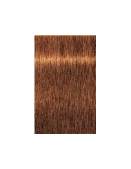 Schwarzkopf Igora Royal 7-70 Absoluuts