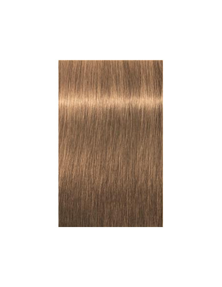 Schwarzkopf Igora Royal 8-50 Absoluuts