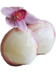 IS-hieronta simpukankuoria