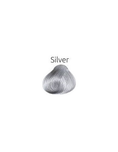 PUOLIVÄRI Hopea 60ml