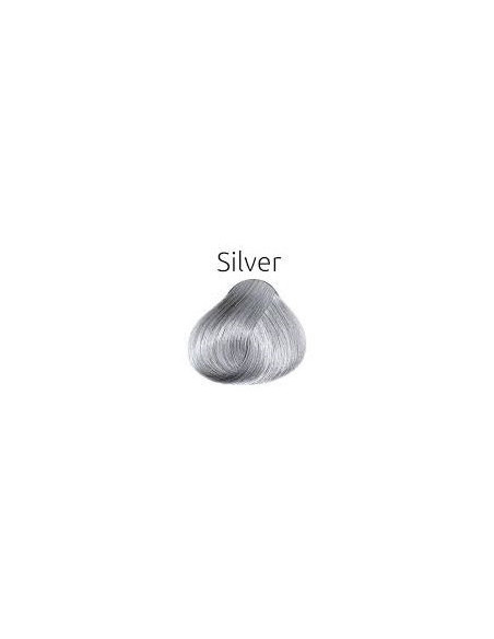 PUOLIVÄRI Hopea 60ml