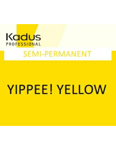 Puolipysyvä hiusväri Color...