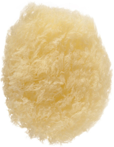 Sieni, luonnonvärinen, soikea, 1 kpl.