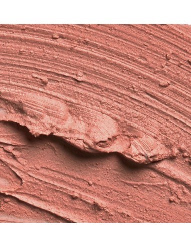 SLA PARIS Pro huulipuna - Nude Pink