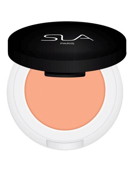 SLA PARIS CAKE CORRECTOR APRICOT – Peitevoide appelsiini-pigmentillä 3.5g