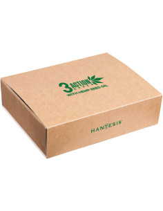 HANTESIS 3ACTION GREEN -setti
