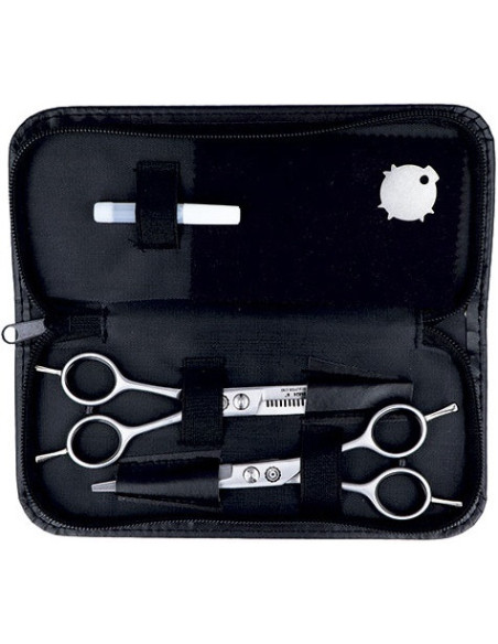 Ammattimaiset hiustenleikkaussakset + ohennussakset, suora malli 6''