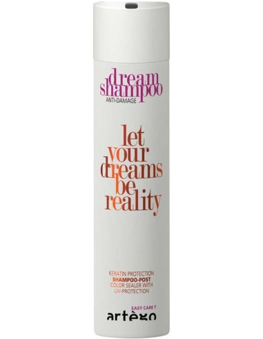 Artego Easy Care T Dream Shampoo -...
